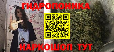 mdpv Кингисепп